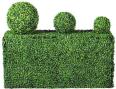 hedge